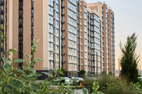 AL_L6515.jpg AL_L6515.jpg